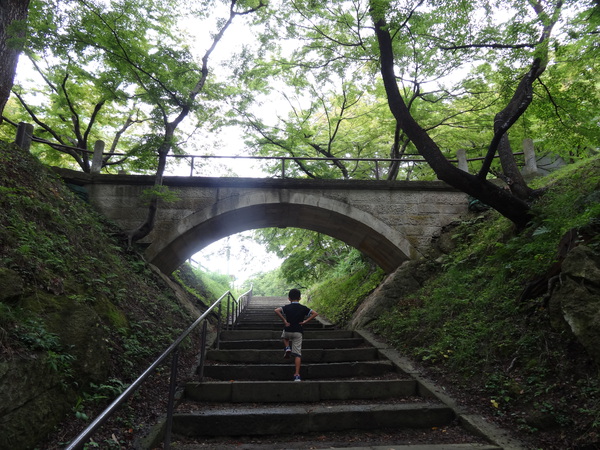 烏帽子山公園の石橋の下、階段を上る子供の後ろ姿